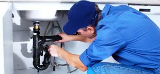 Best Sump Pump Installation and Repair  in Pleasant Valley, WV